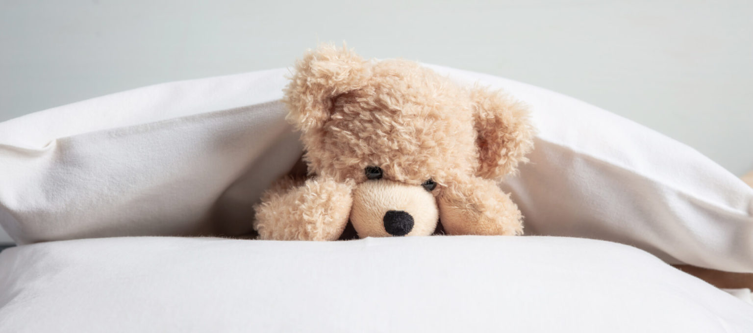 Como Escolher Um Travesseiro Para Bebê? O Mundo do Bebê Bebé