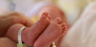 O teste do pezinho teste do pezinho