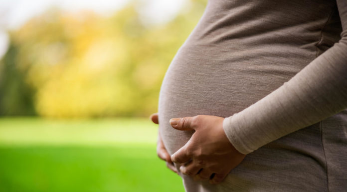 15 Perguntas sobre Gravidez Perguntas sobre Gravidez