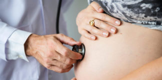 Tudo sobre a Placenta Placenta